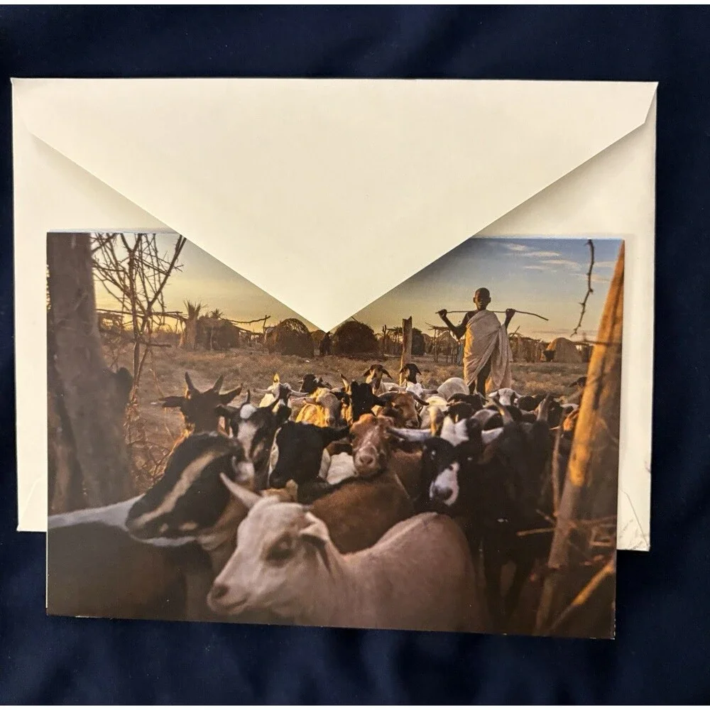 Generic Card with White Envelope and Blank Interior | Livestock design by HRW